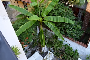 Suite Design, balcon | Balcon