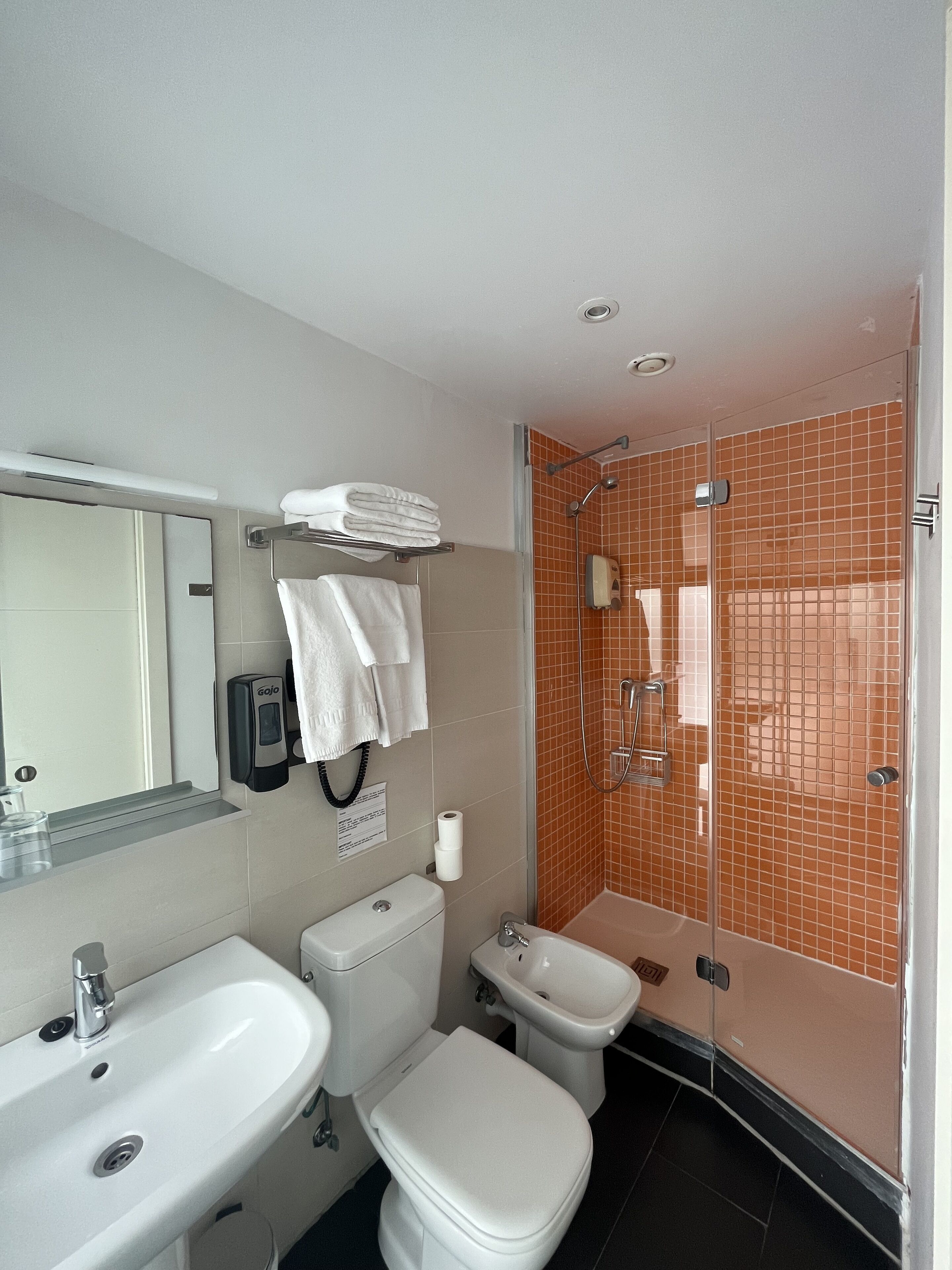 standard double room (interior) | bathroom | shower, free toiletries, hair dryer, towels