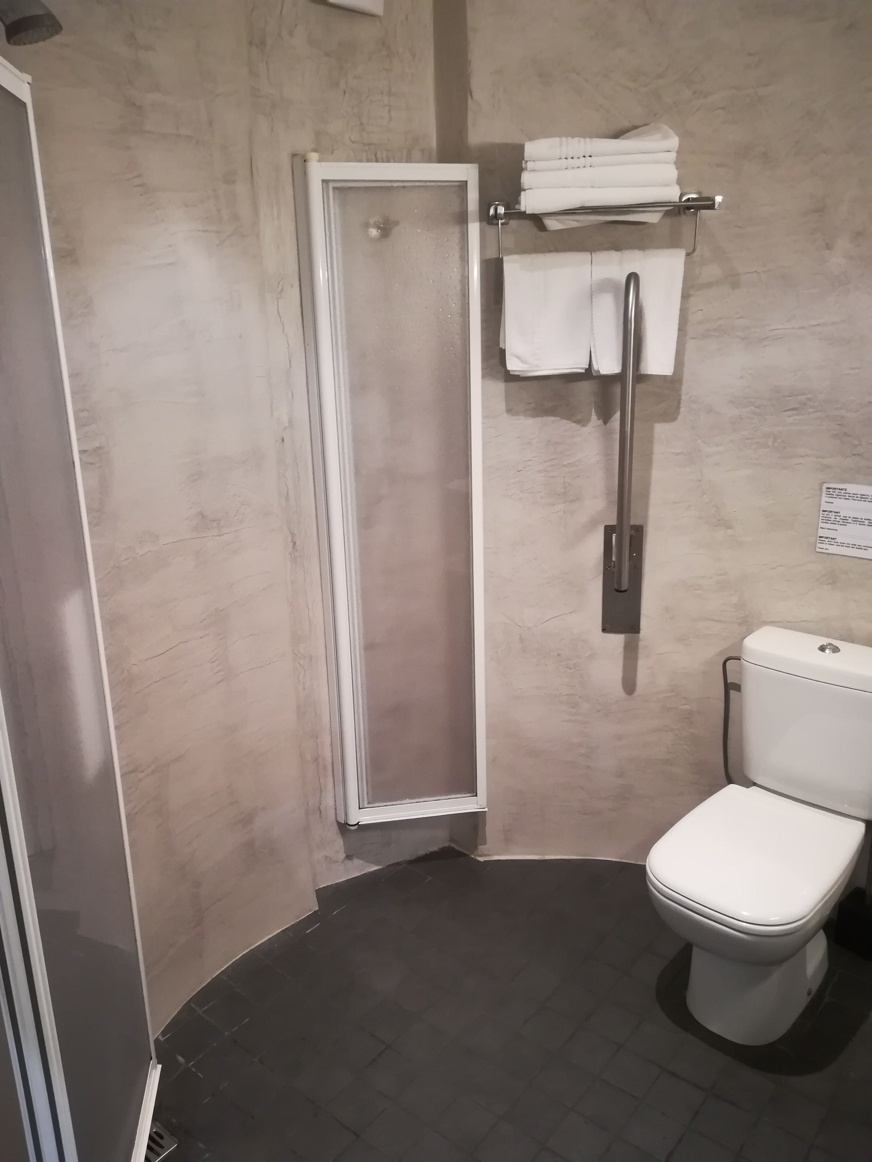 standard double room (interior) | bathroom | shower, free toiletries, hair dryer, towels