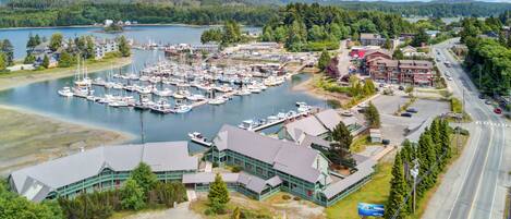 A marina with multiple boats docked, a large building with a green facade, and a road adjacent to the water.