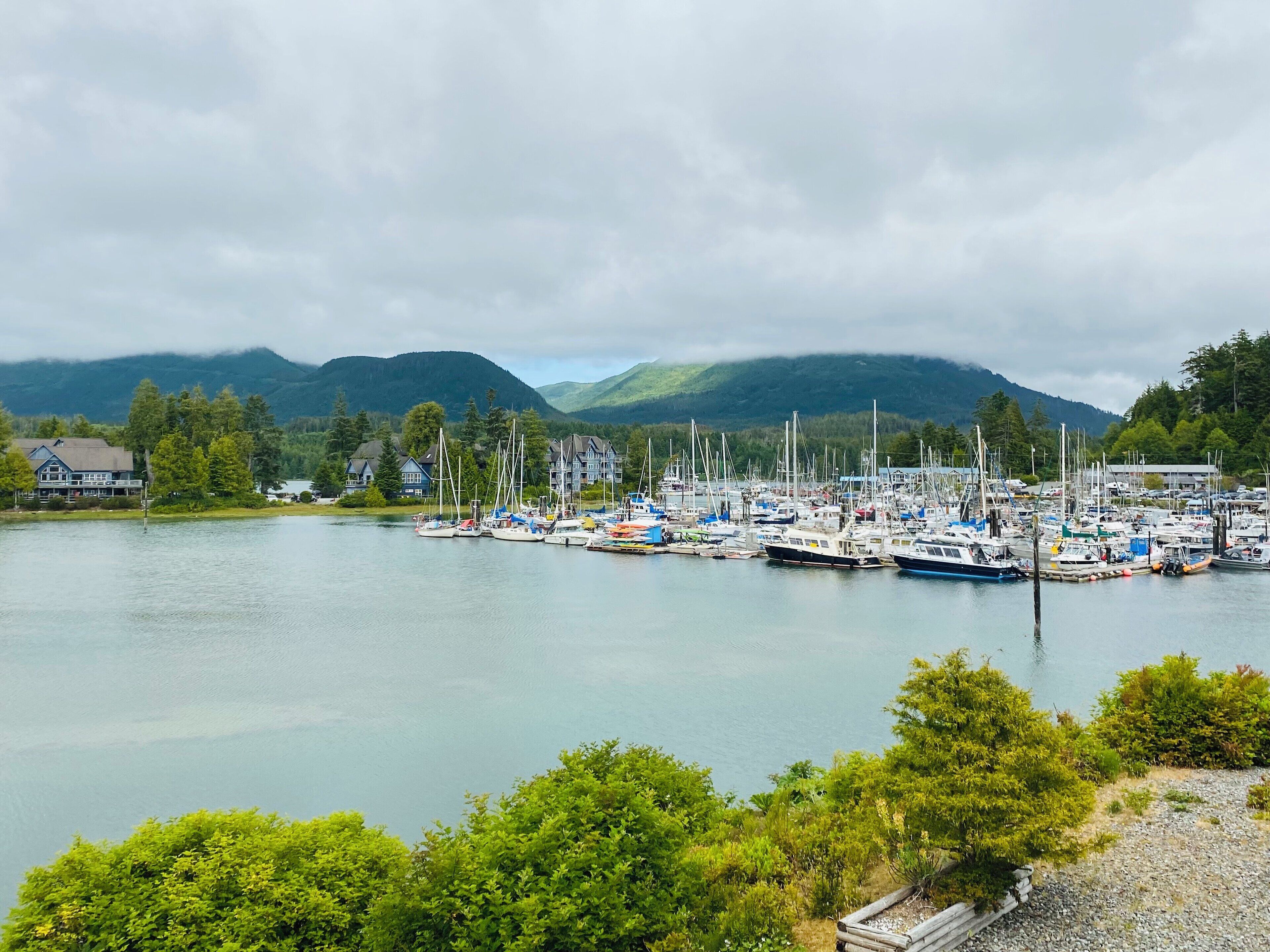 A marina with boats docked, surrounded by lush greenery and mountains in the background.