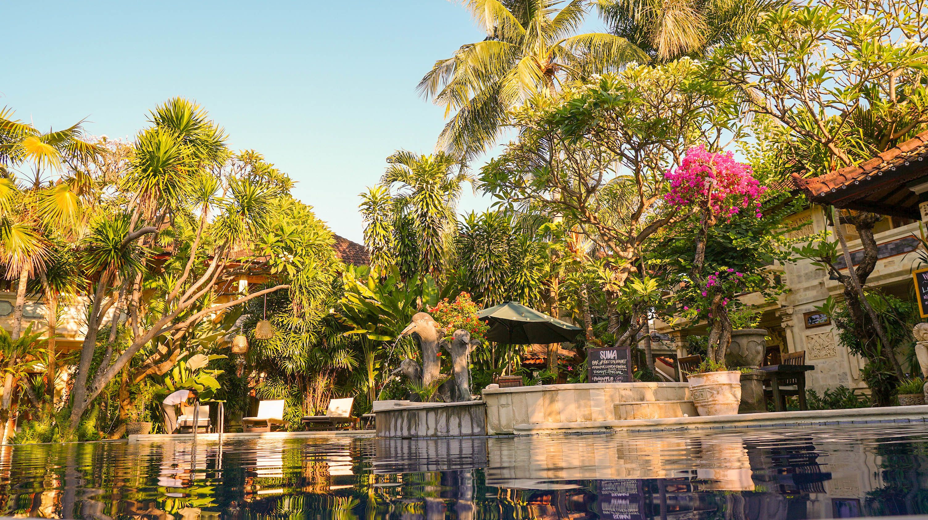 Piscine extérieure, parasols de plage, chaises longues