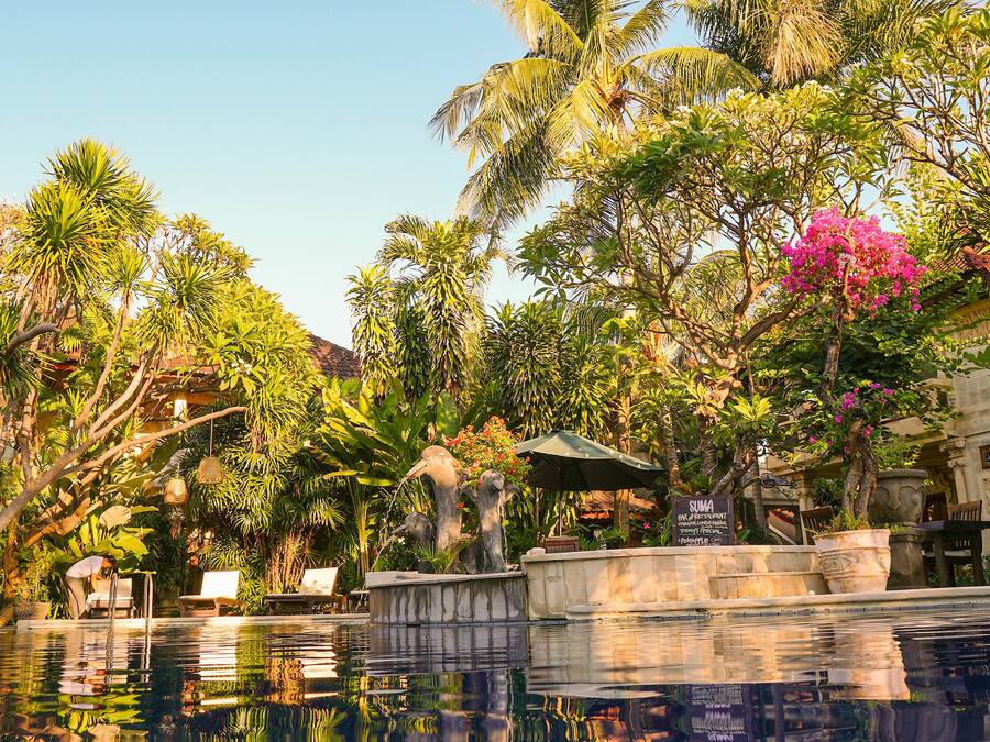 Outdoor pool, pool umbrellas, sun loungers