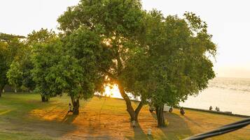 A park with trees, a path, and a body of water.