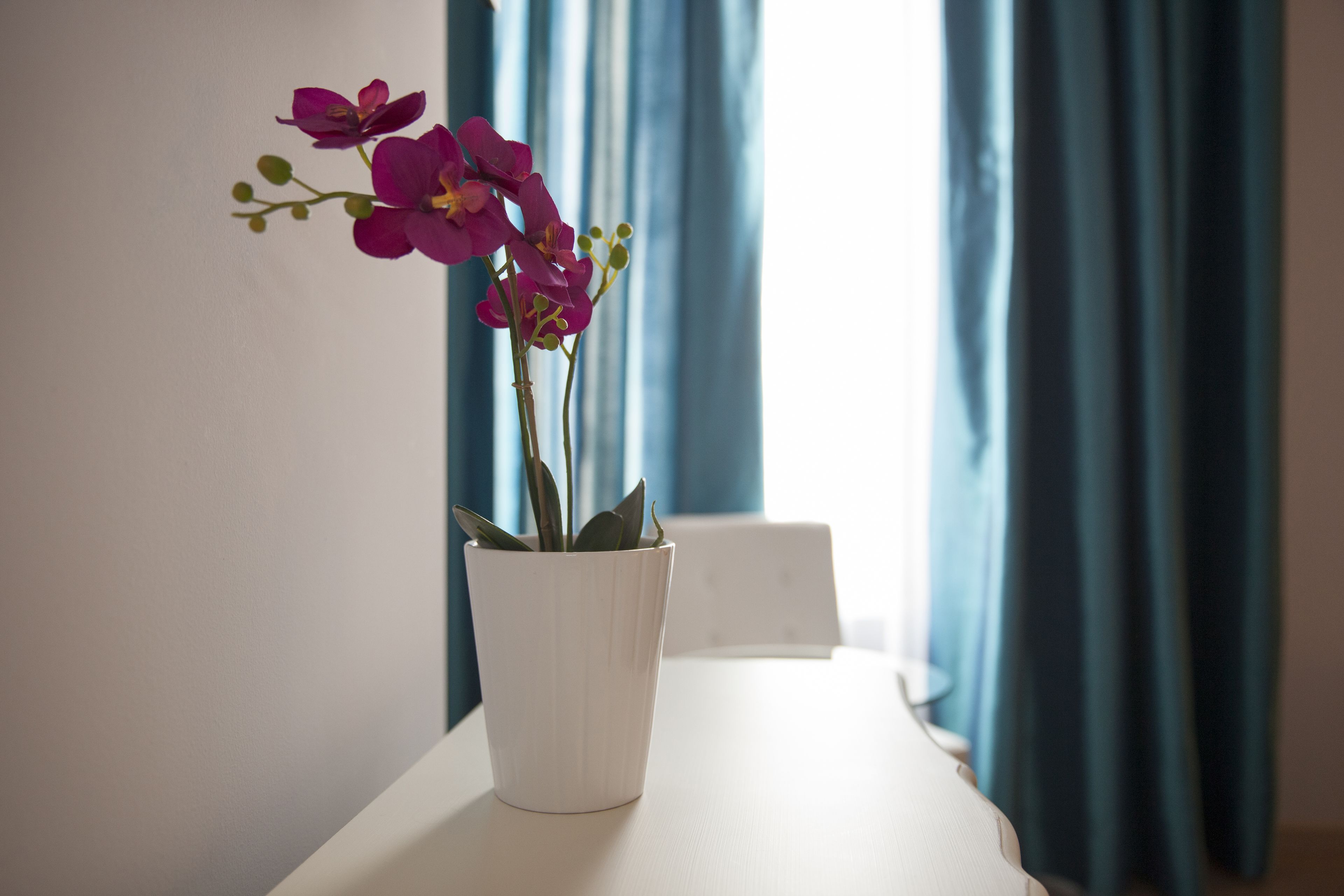 Foto - Umma Barcelona B&B Boutique