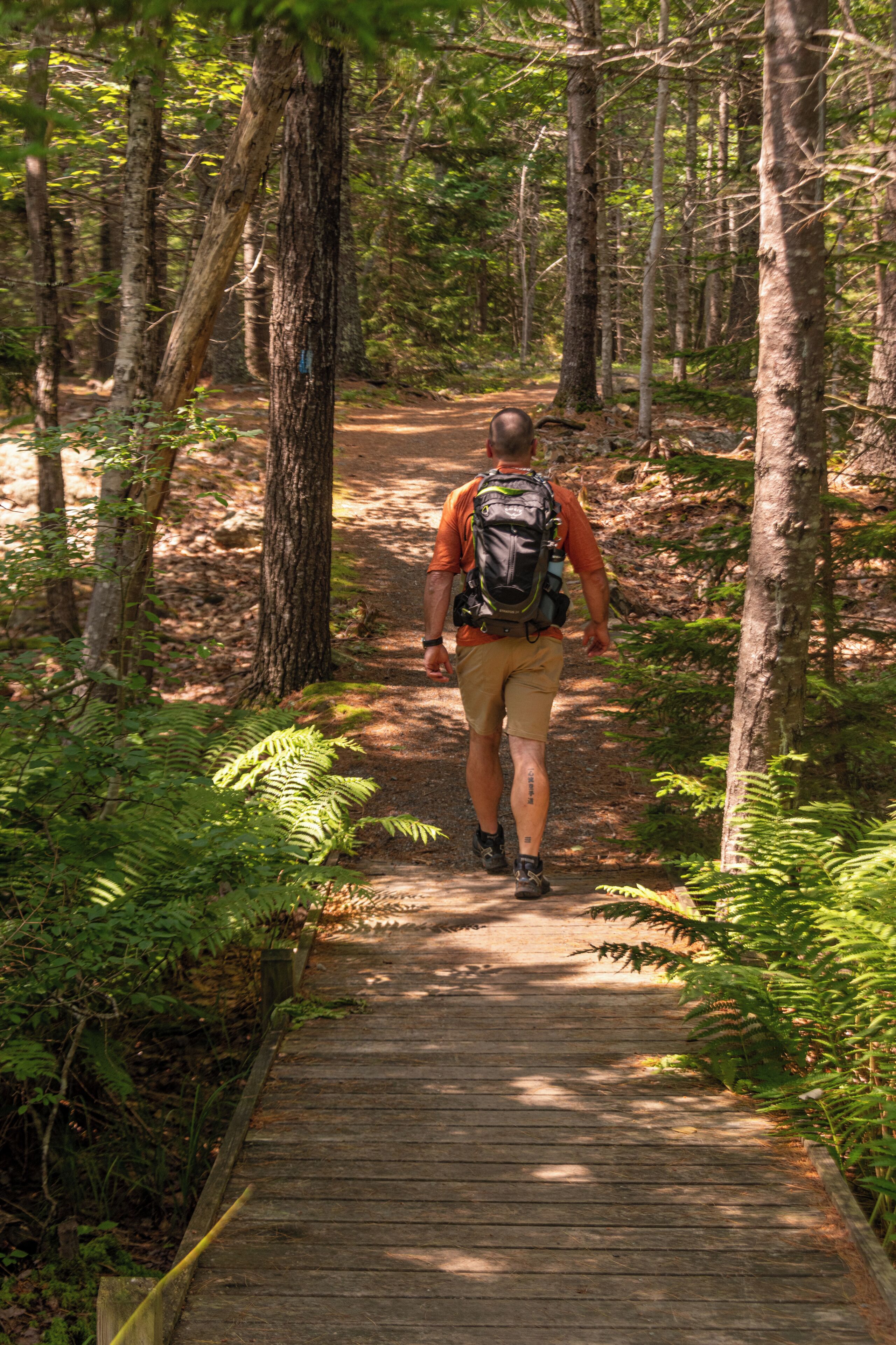 A person walking on a wooden boardwalk in a forested area.