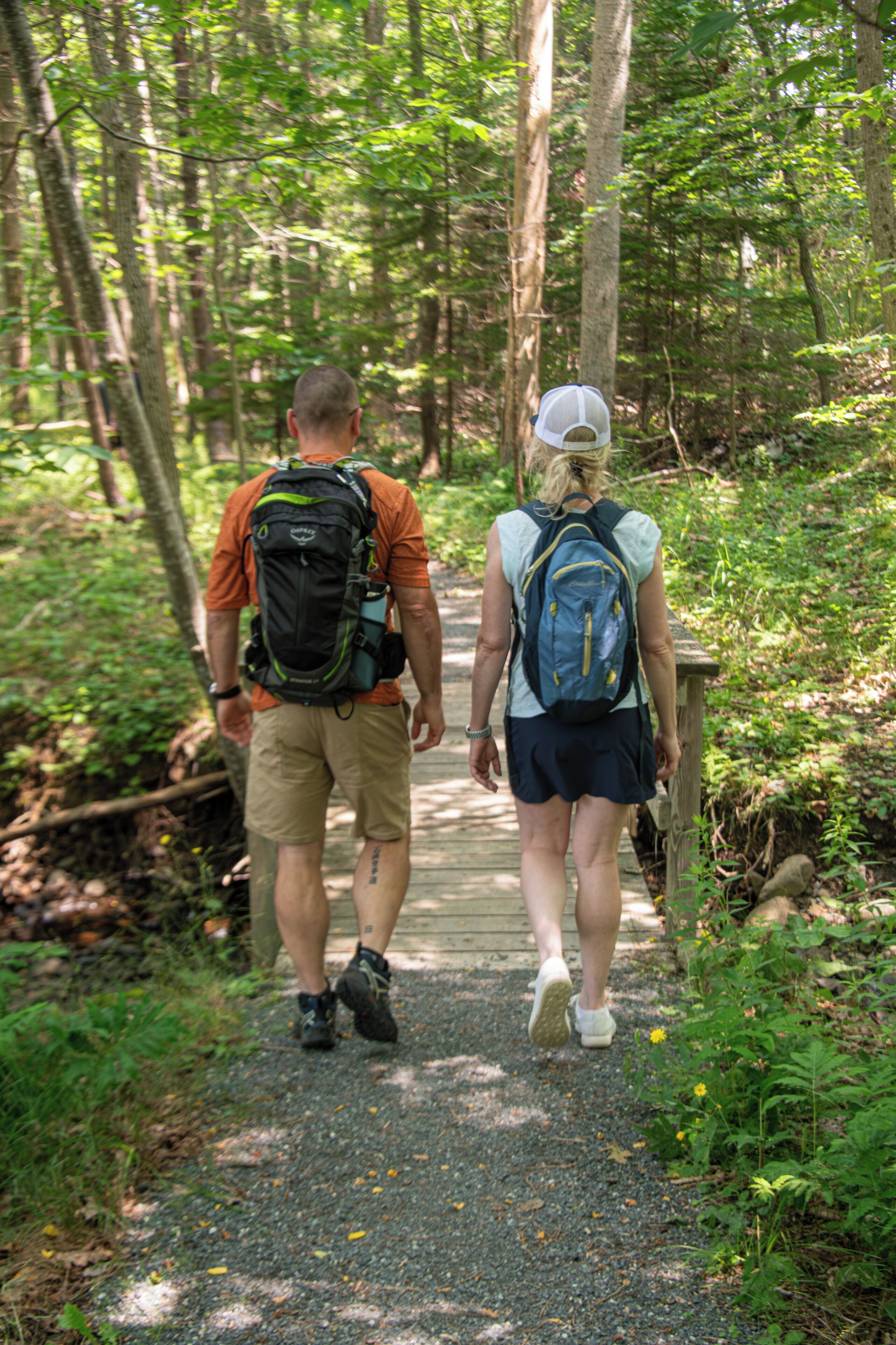 A pathway in a wooded area with two people walking away from the camera.