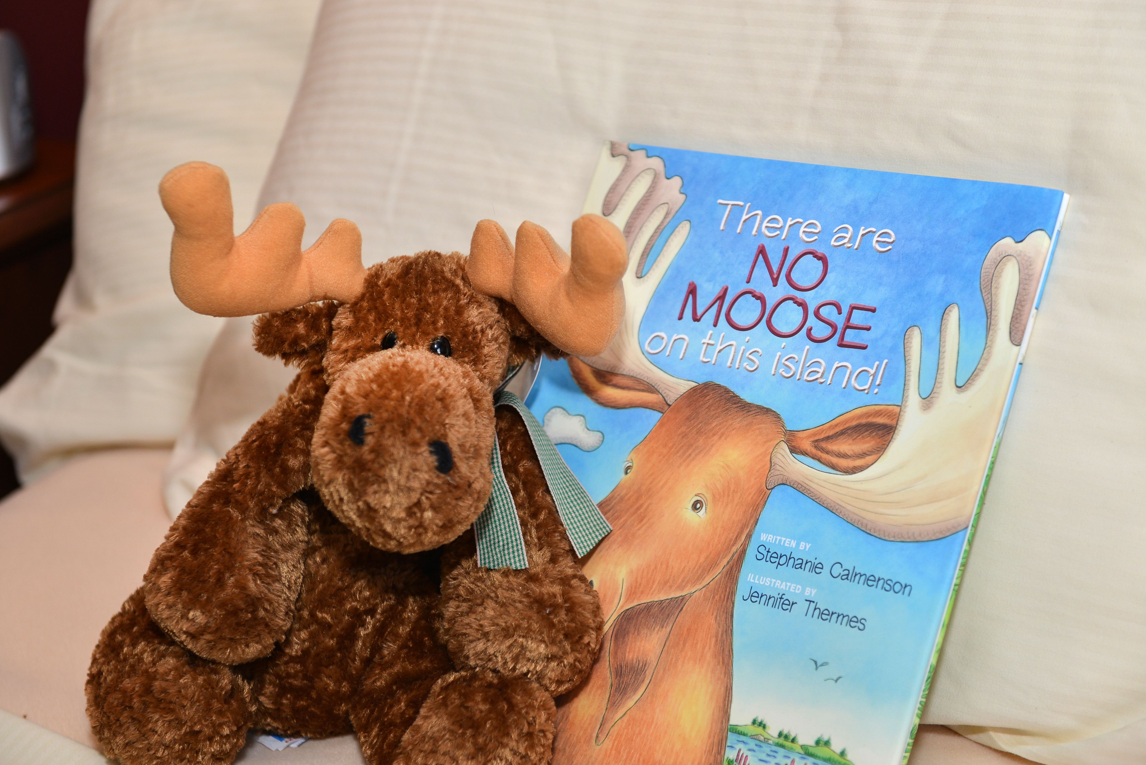 Un ours en peluche brun et un livre intitulé « Il n’y a AUCUN ours sur cette île » sont posés sur un lit.