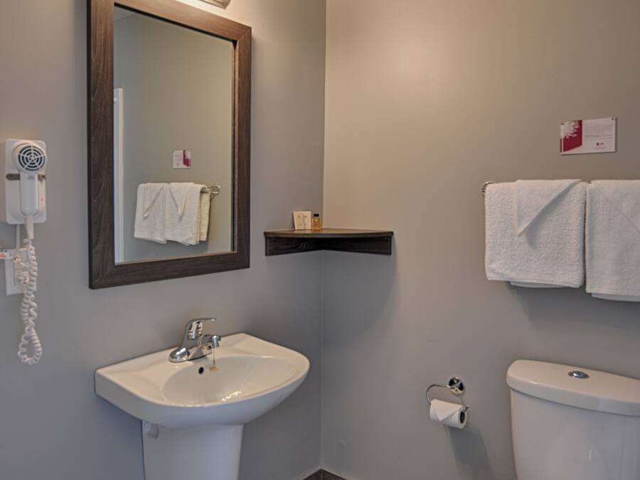 Un baño con lavabo, espejo e inodoro.