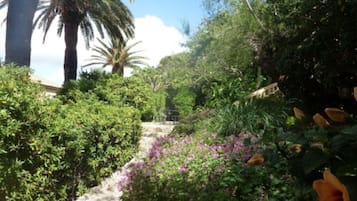 Terras