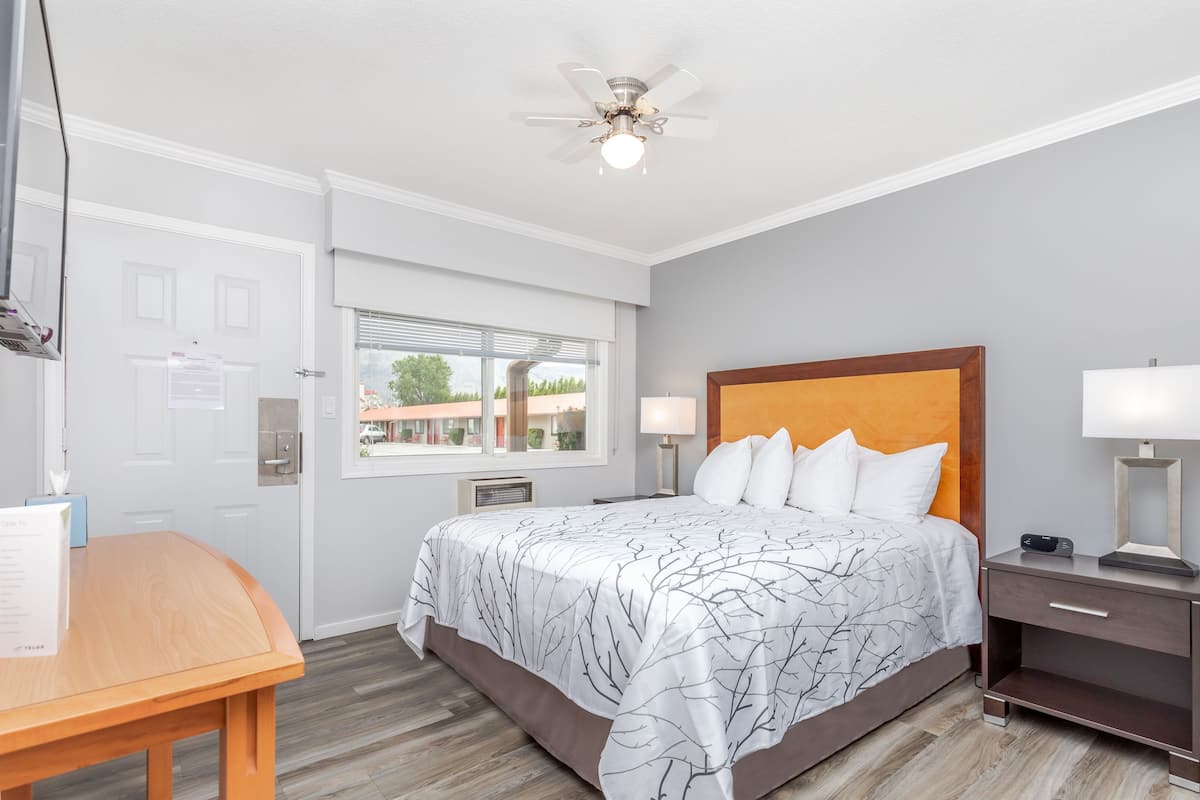 A hotel room with a bed, bedside table, lamp, and a view of the outside.