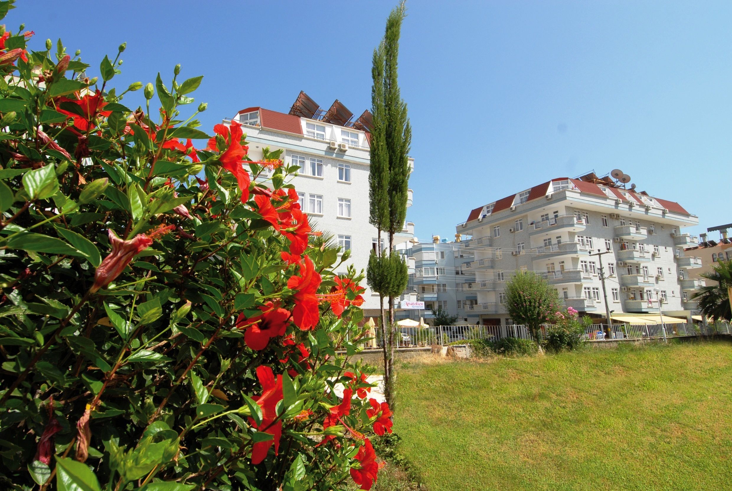 Photo - Alanya Risus Park Hotel