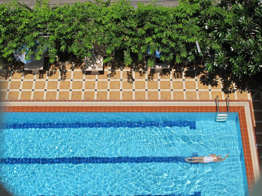 Piscina con bordo piastrellato, un nuotatore e vegetazione circostante.