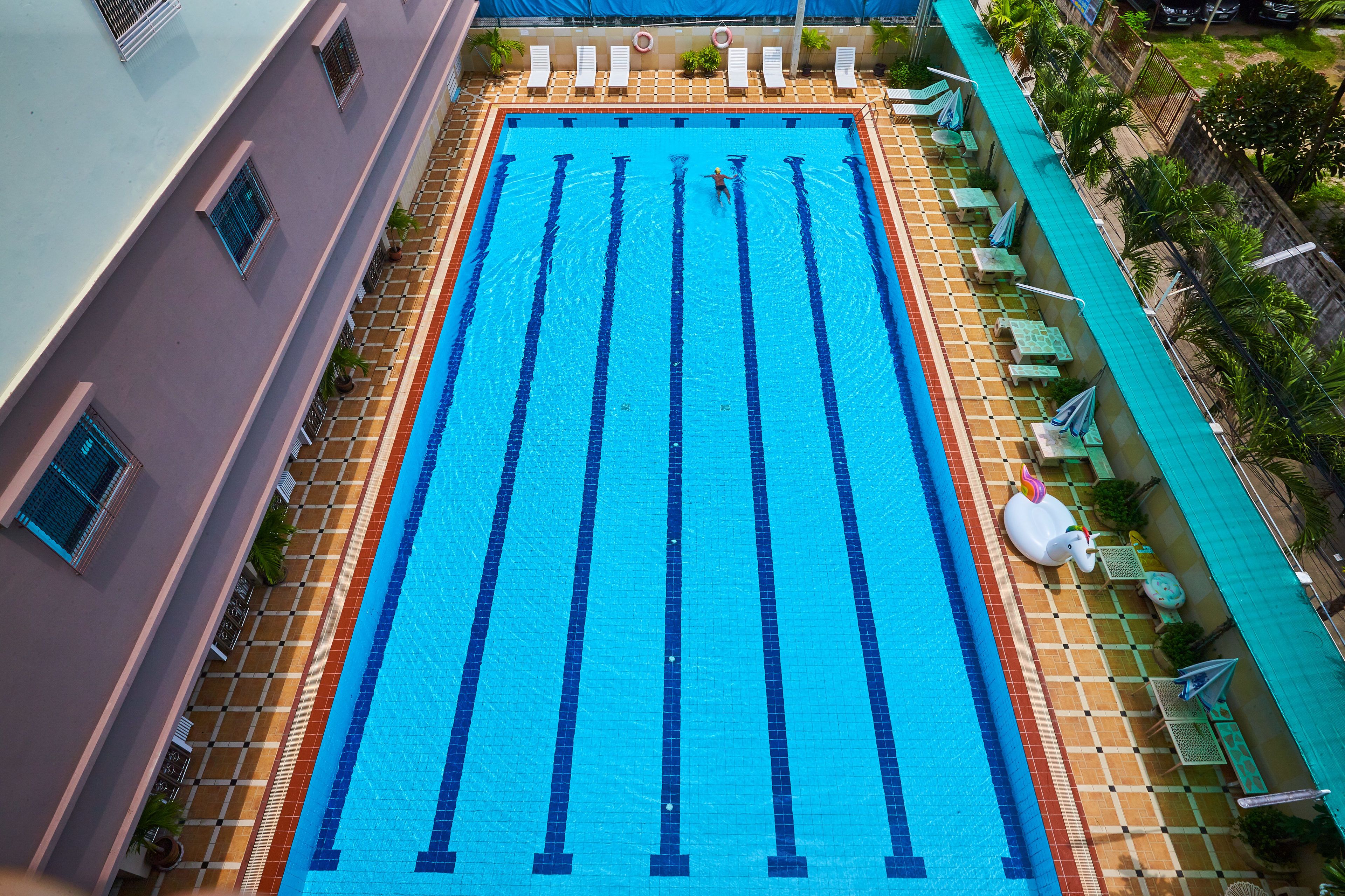 Outdoor pool, pool loungers