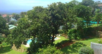 Durban Accommodation