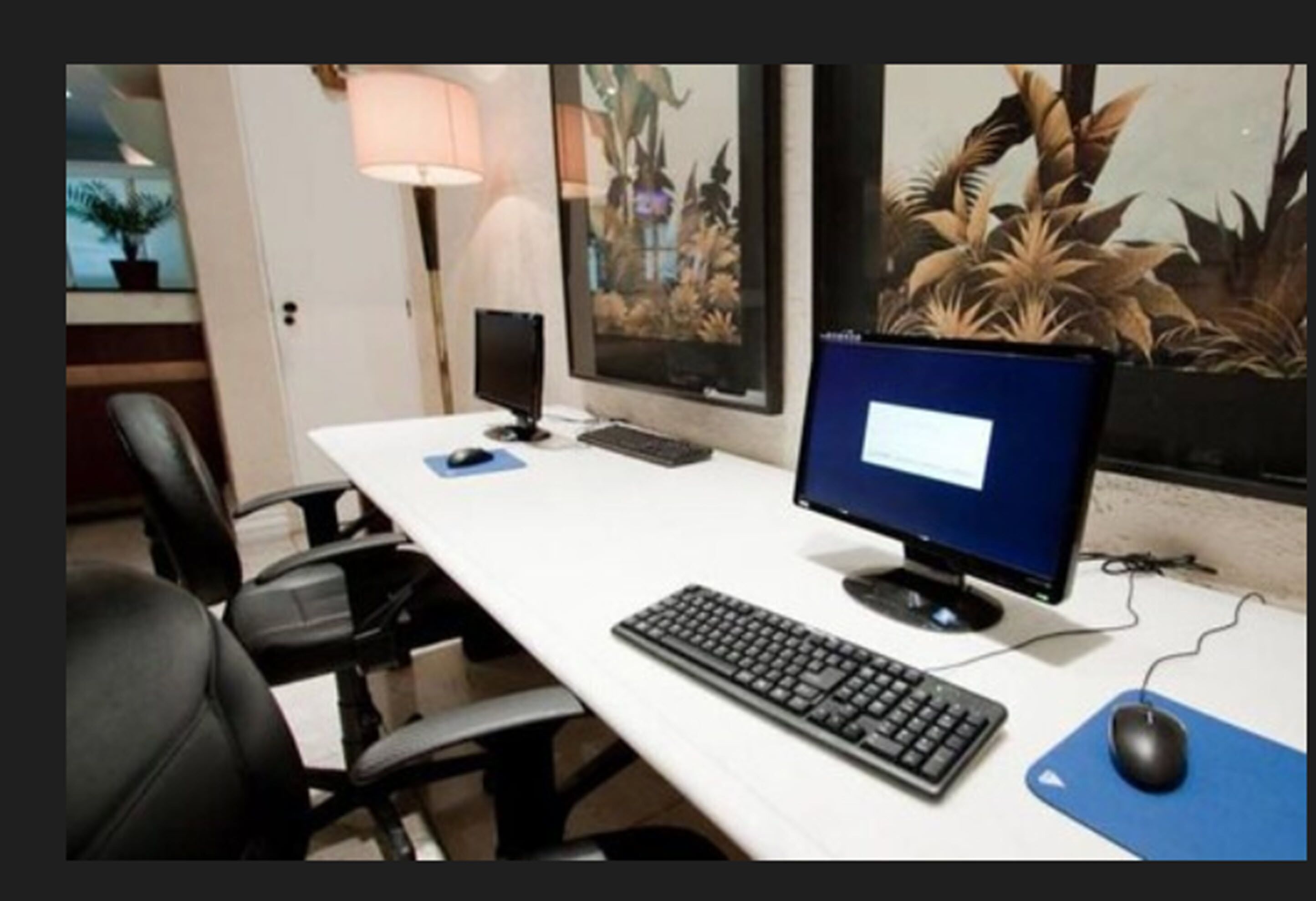 A desk with a computer setup, including a monitor, keyboard, and mouse. There is a chair, a lamp, and a framed picture of plants on the wall.