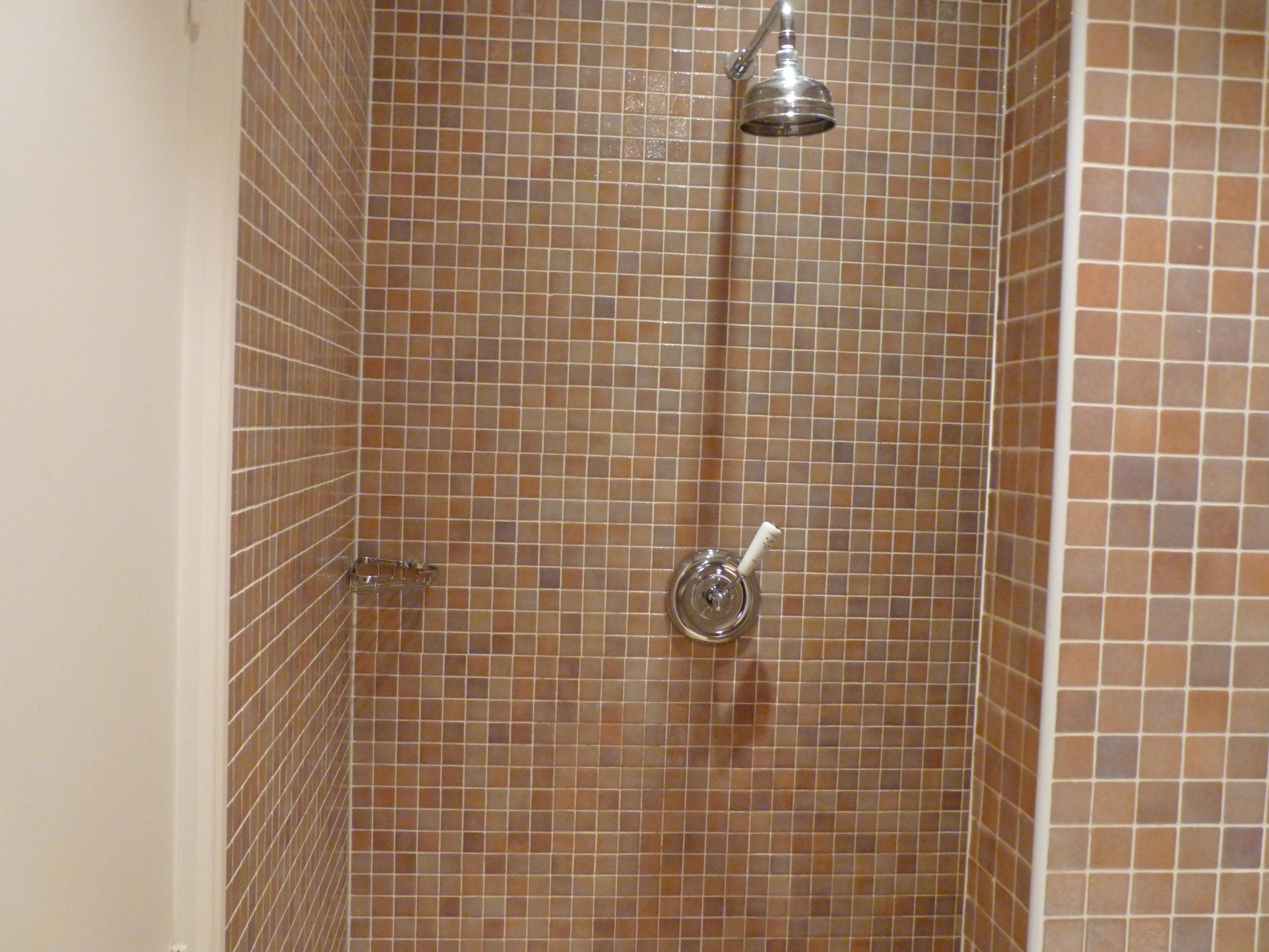 A shower with a handheld showerhead and a wall-mounted faucet.