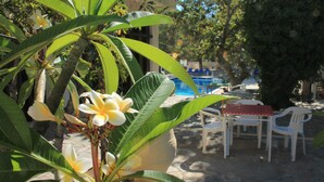 A poolside area with outdoor seating and a large planter with a flowering plant.