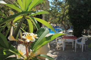 Terrace/patio - Hotel Esperides (Ierapetra)