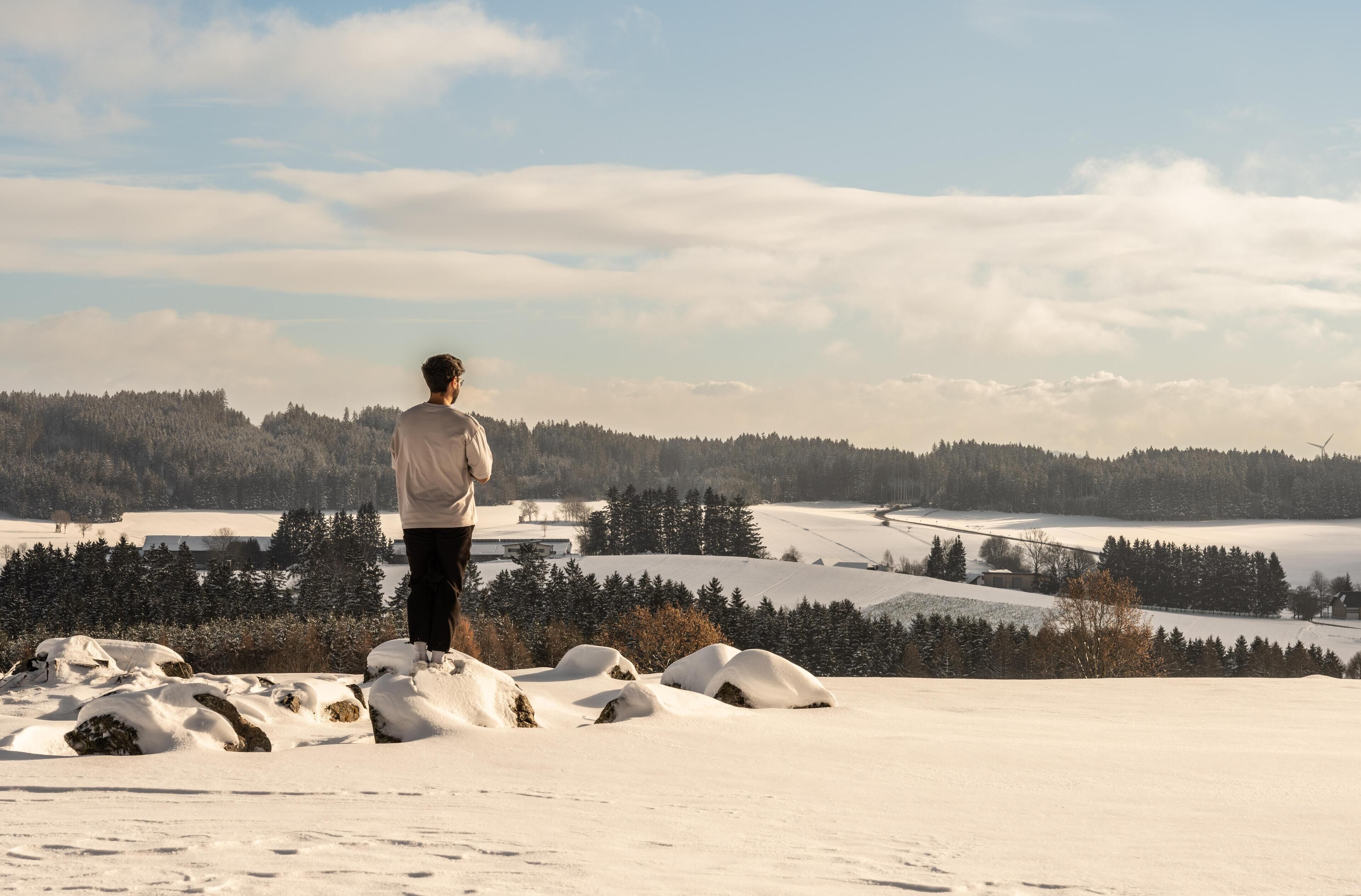 A person standing on a snow-covered hill overlooking a landscape with trees and a distant view of a village.