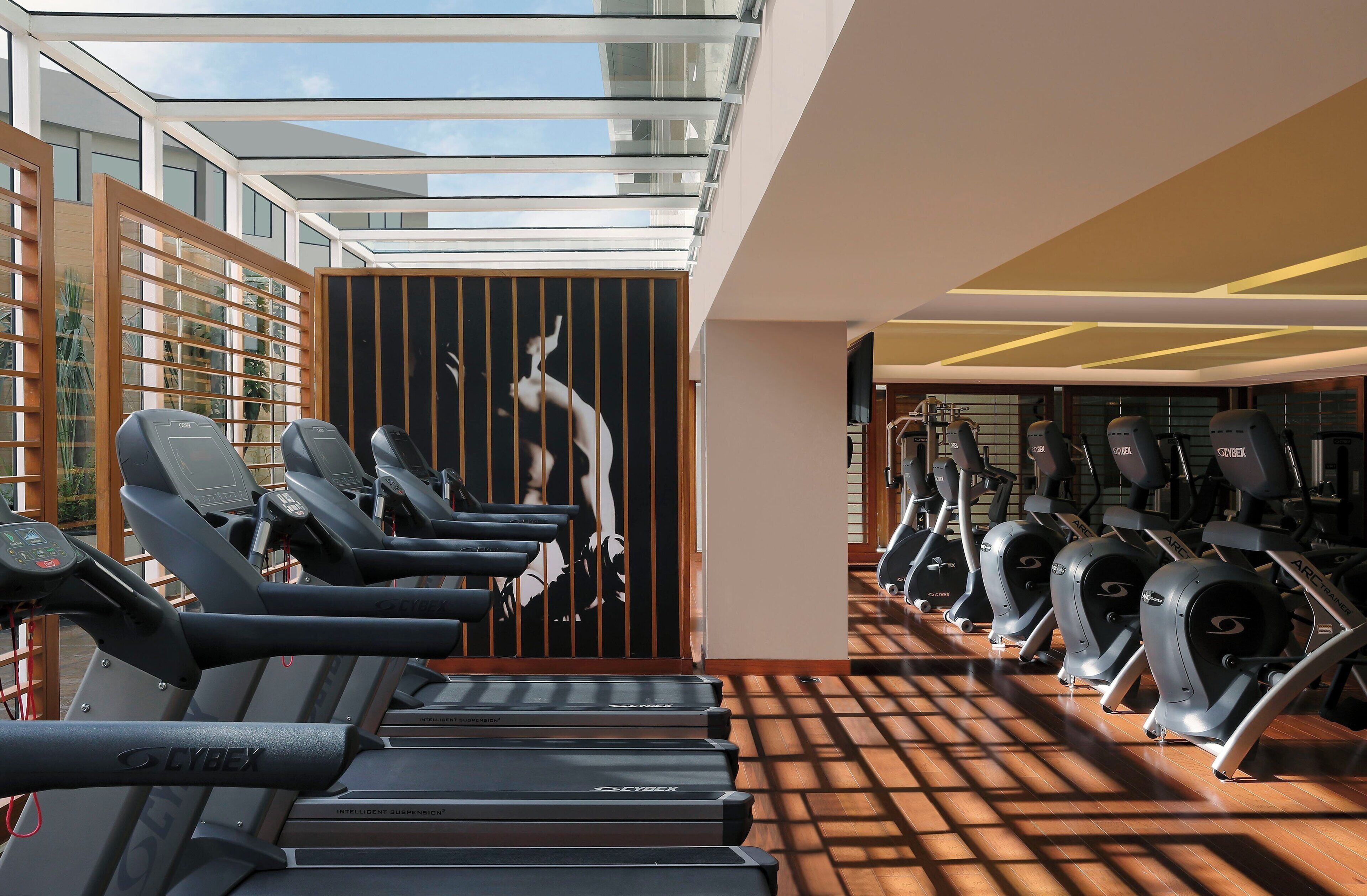 Ein Fitnessraum mit Laufbändern und Ergometer, Holzboden und Glasdecke.