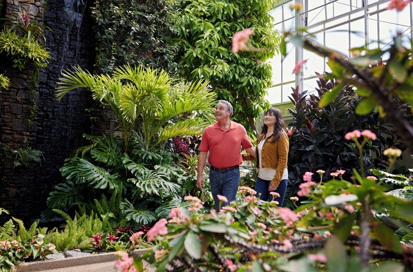 Een weelderige binnentuin met verschillende planten en een stenen muur.