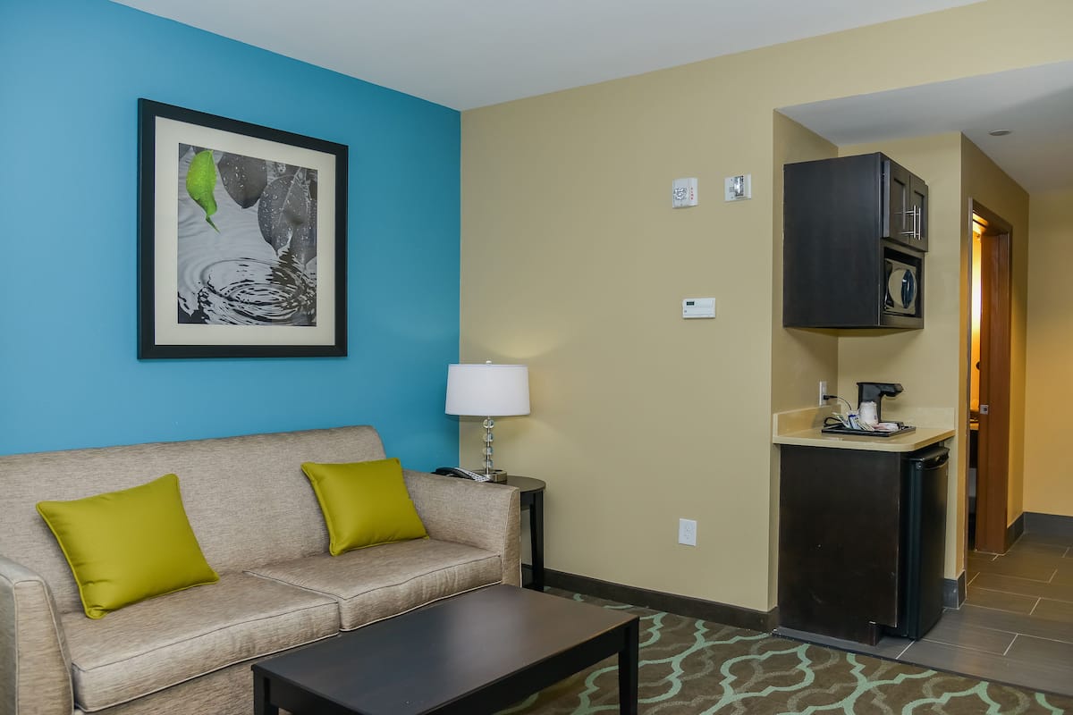 suite, multiple beds | 1 bedroom, desk, blackout curtains, iron/ironing board