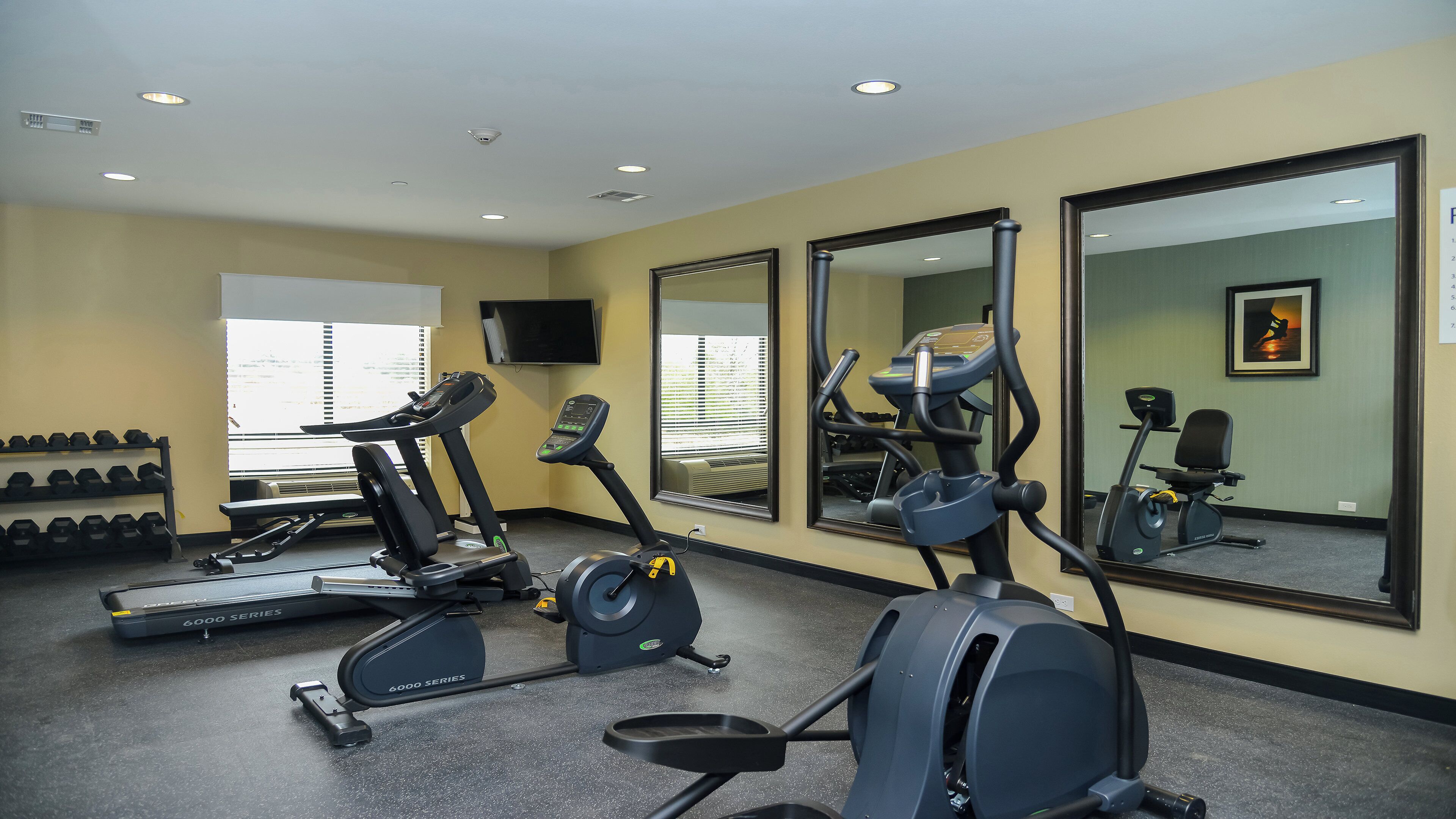 A gym with treadmills, elliptical machines, and a weight rack.