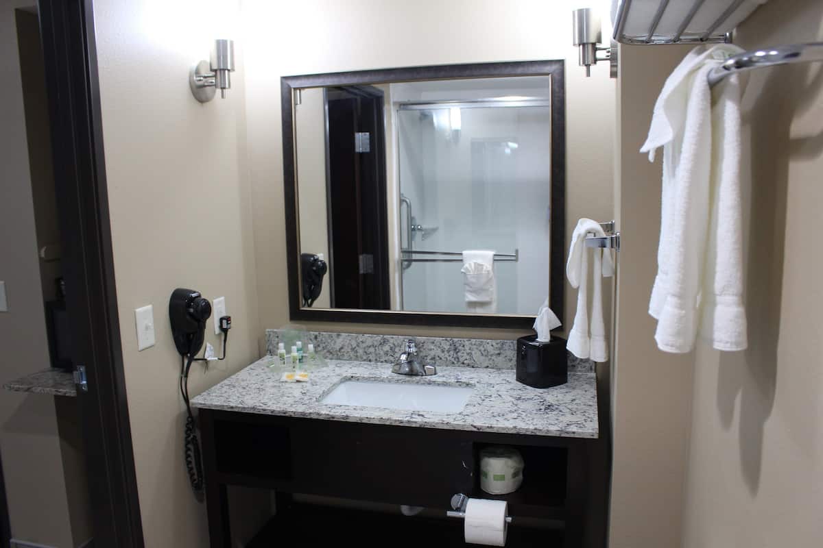 combined shower/bathtub, free toiletries, hair dryer, towels