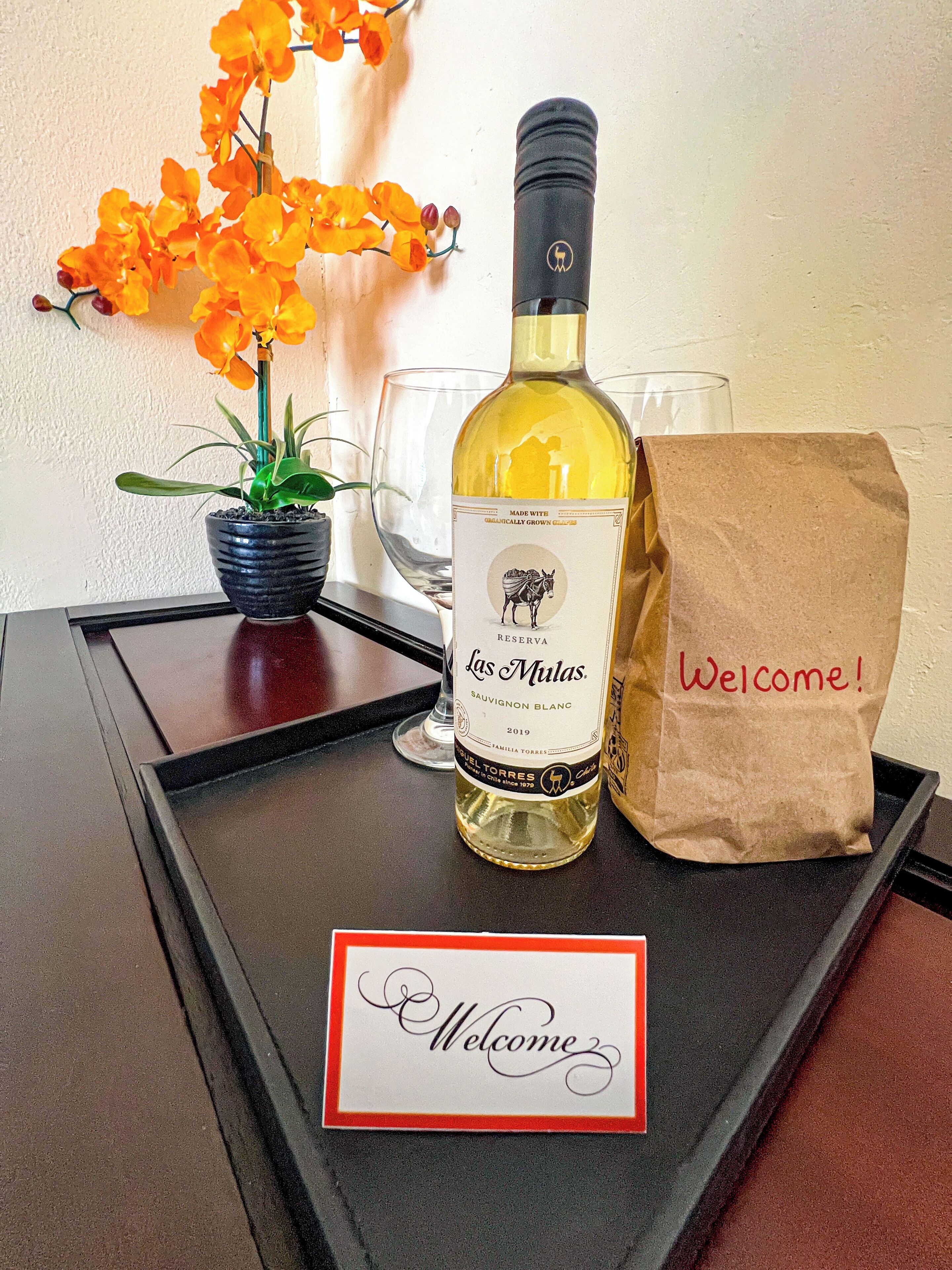 A bottle of wine, a glass, a potted plant, and a welcome sign on a tray.