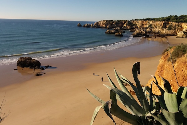 Vista da propriedade