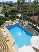 Una piscina rectangular con sillones de descanso blancos y sombrillas, rodeada de palmeras y follaje.