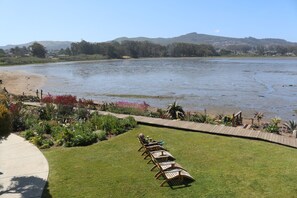 Vista desde la propiedad