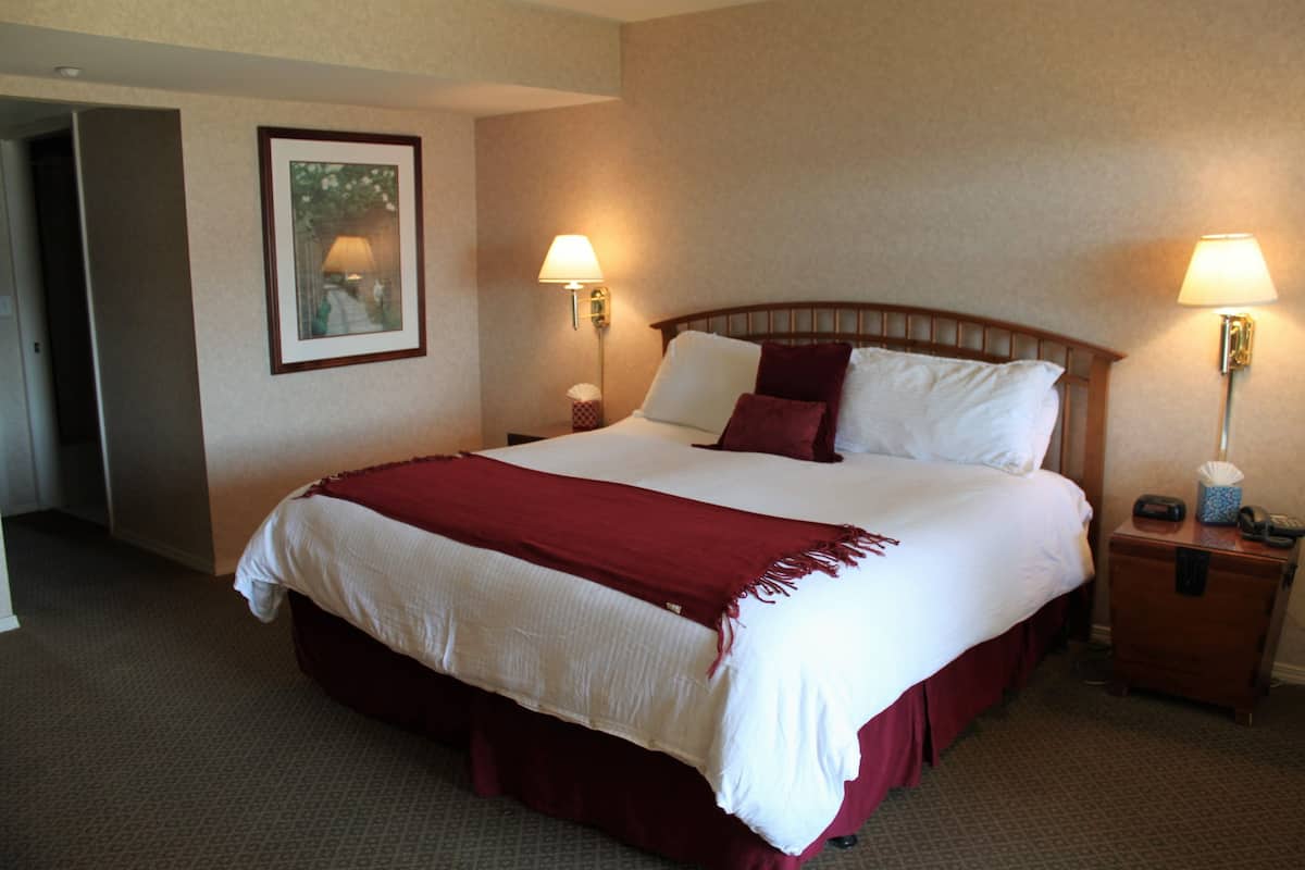 A hotel room with a large bed, two bedside lamps, a framed picture on the wall, and a small bedside table with a phone and tissues.