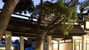 A covered outdoor area with a tree, a brick wall, and a car parked in the background. - Champers Motor Inn (Lower Hutt)