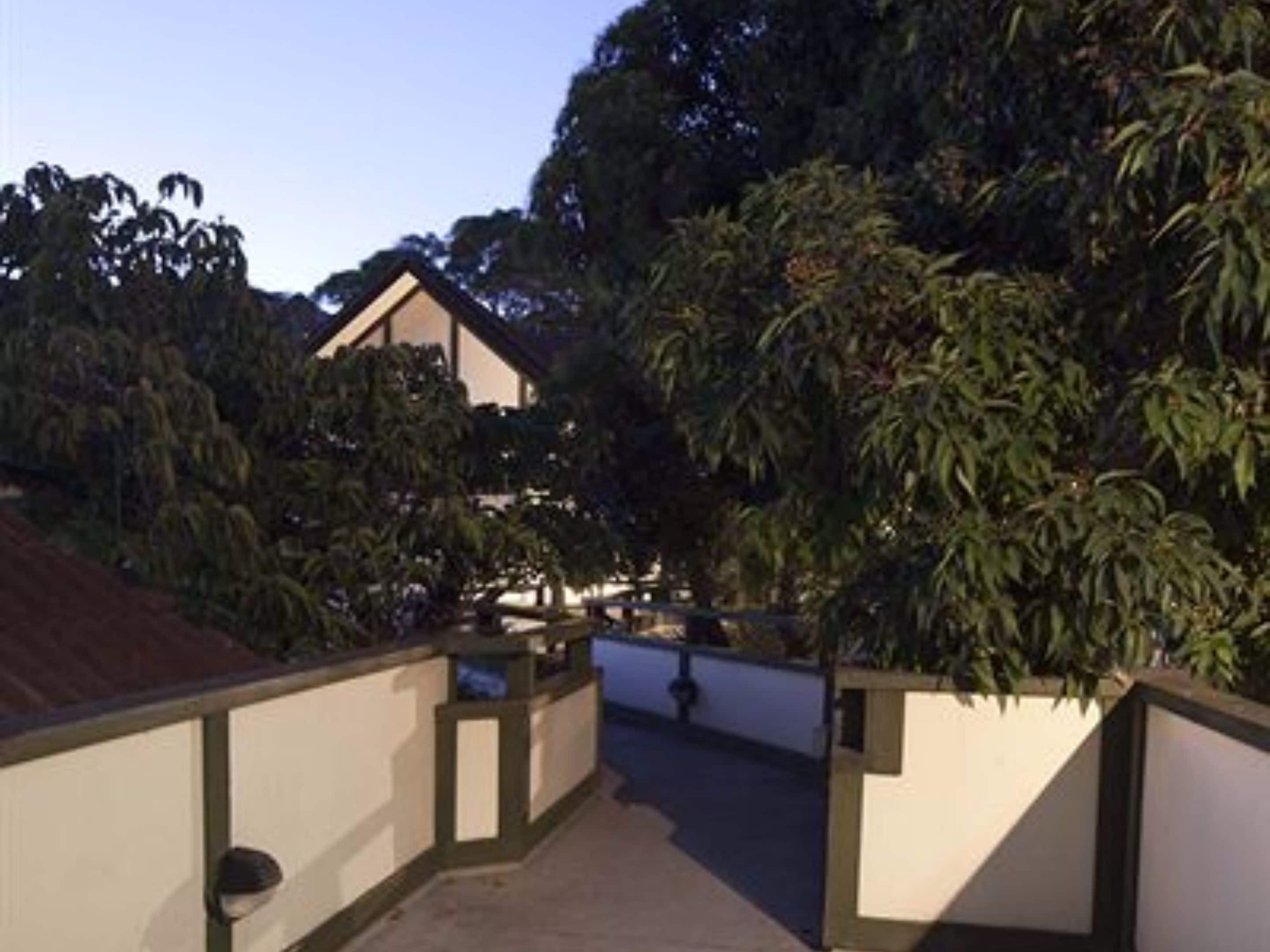 Un sendero conduce a un edificio de techo inclinado, rodeado de abundante follaje.