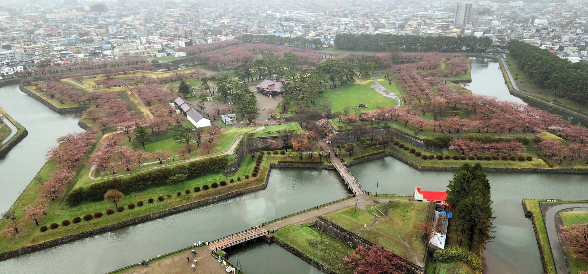 Vista aérea de um parque histórico com fosso, cerejeiras em flor e arquitetura tradicional.