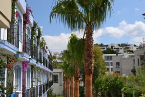 واجهة المنشأة