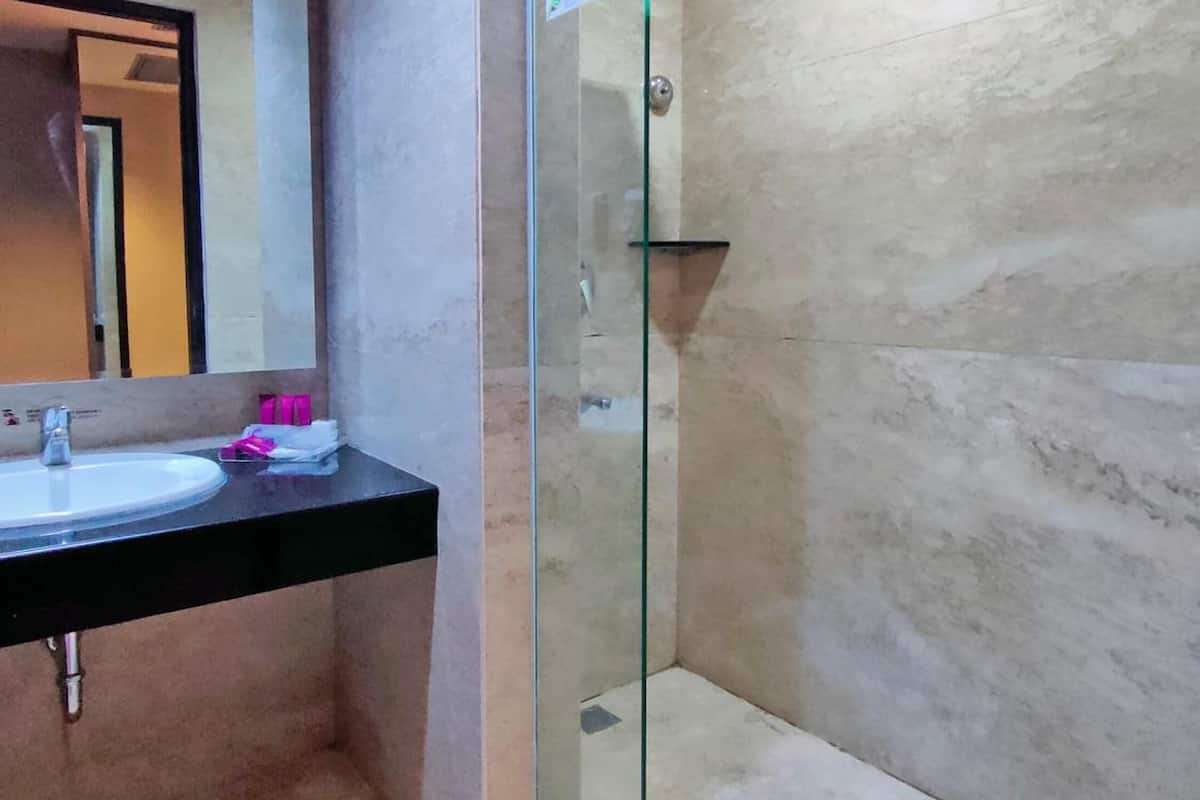 shower, free toiletries, hair dryer, towels