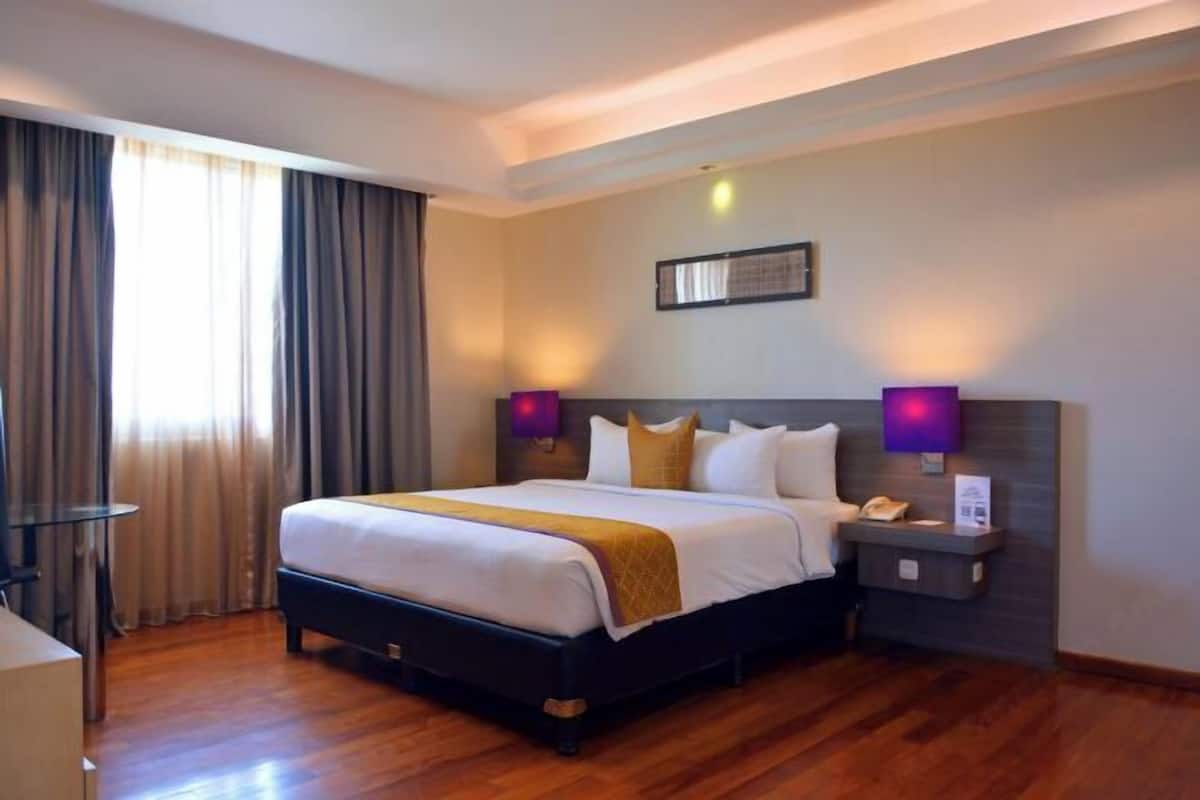 Minibar, escritorio, espacio para trabajar con laptop y insonorización