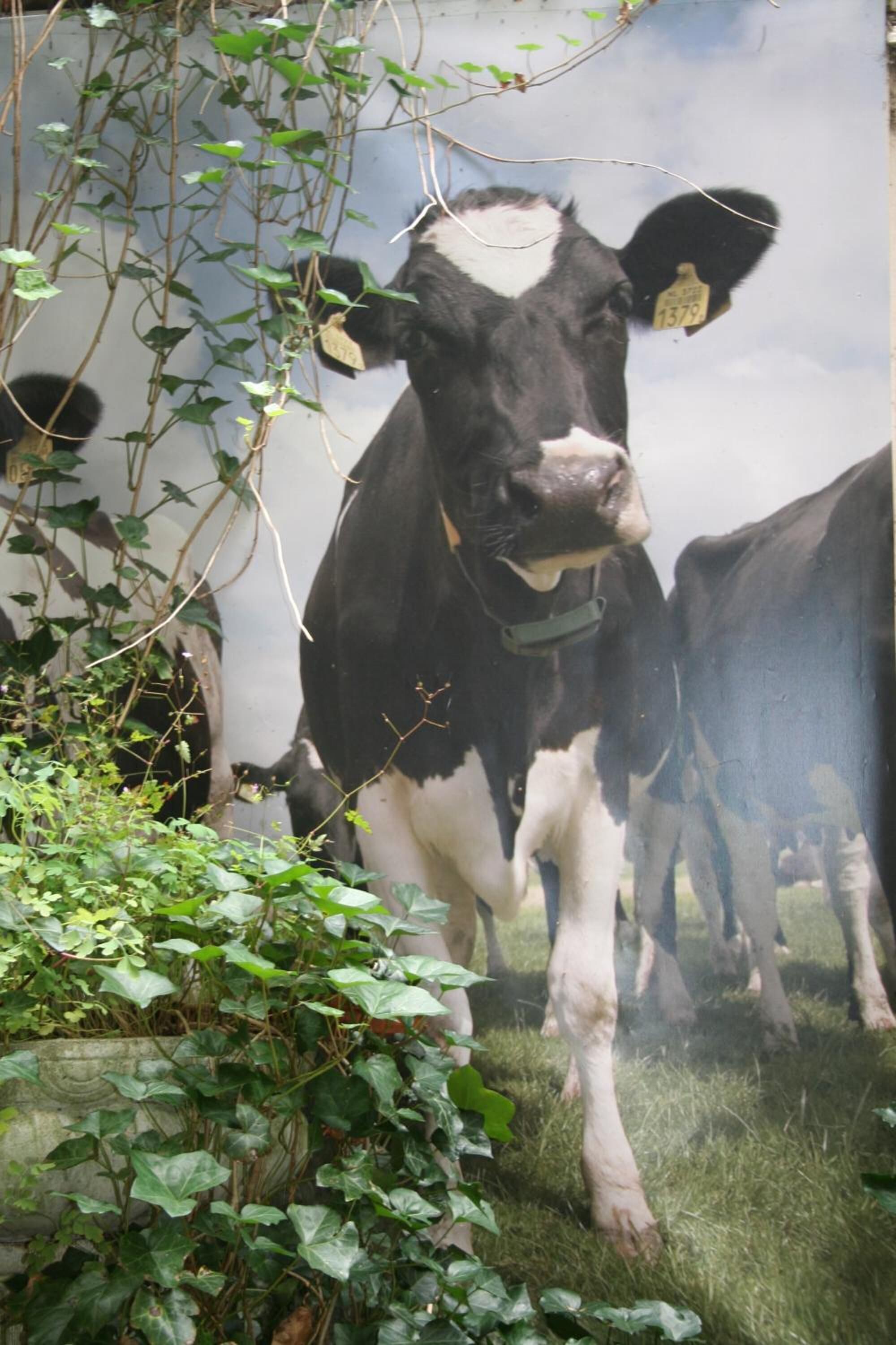 Photo - Bicycle Hotel Amsterdam