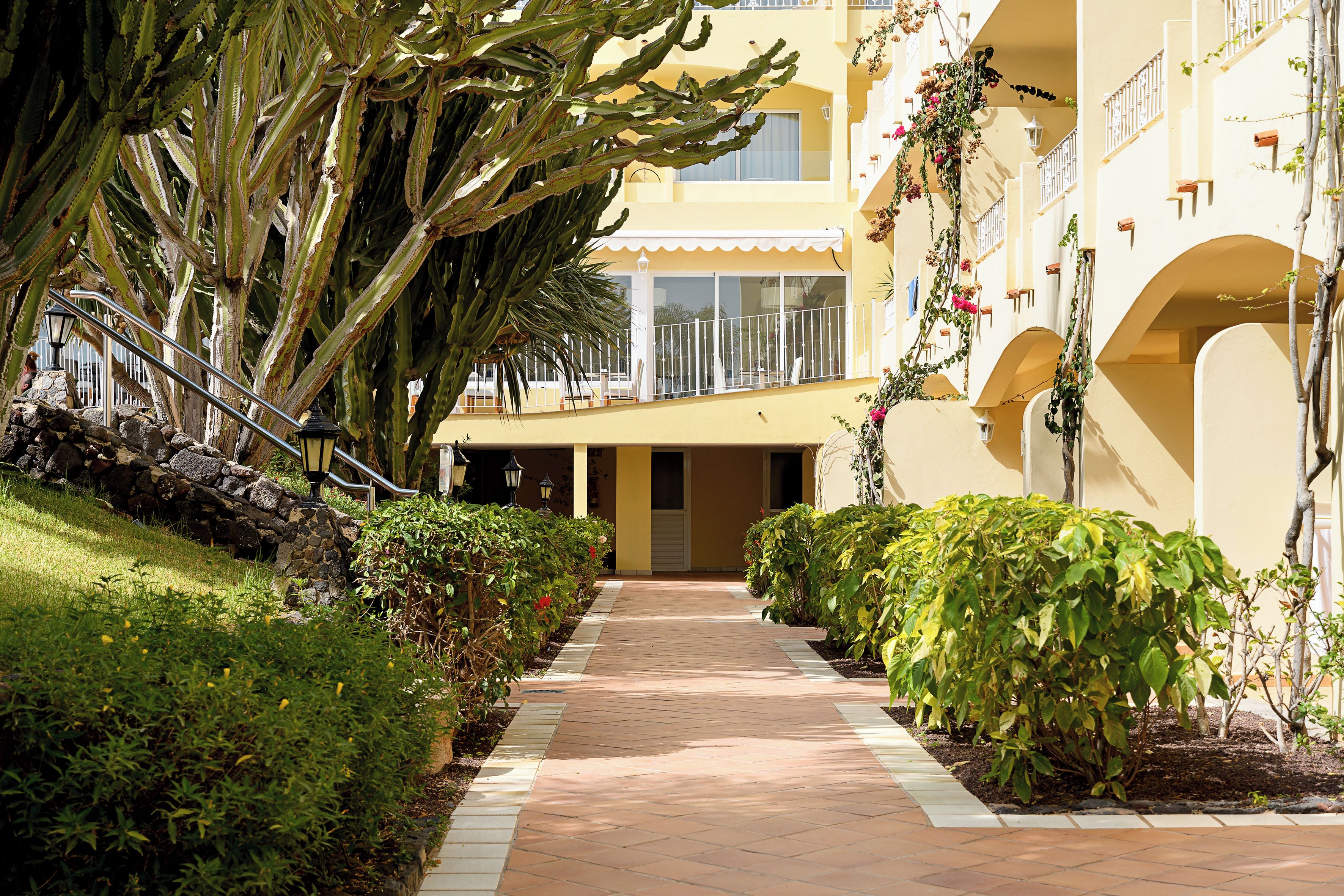 Foto - Buganvilla Hotel & SPA