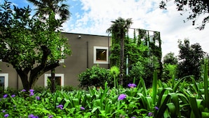 A modern building with a garden in front.