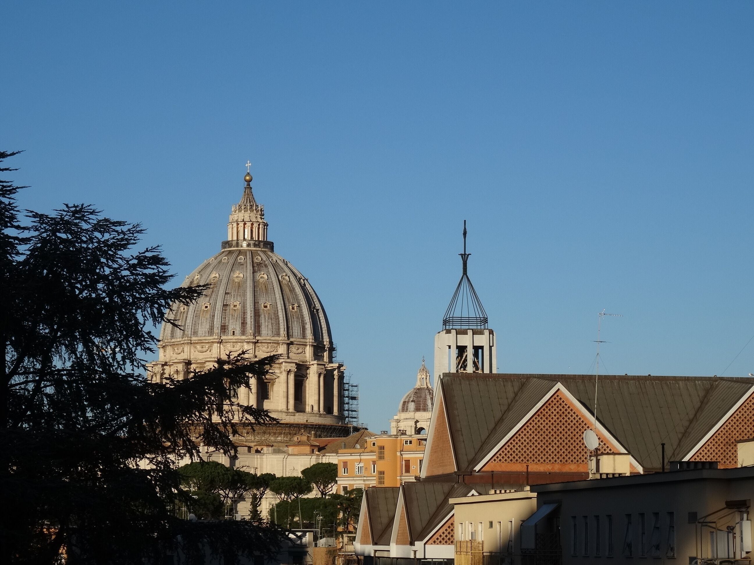 junior suite | city view