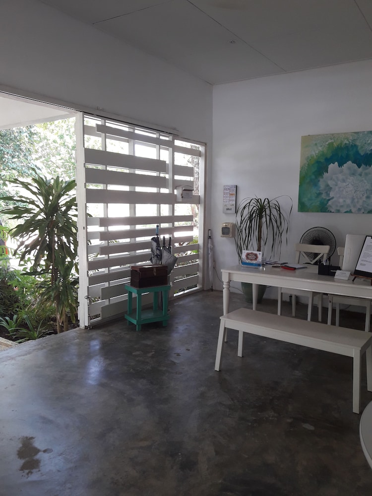 La Pari-Pari by null