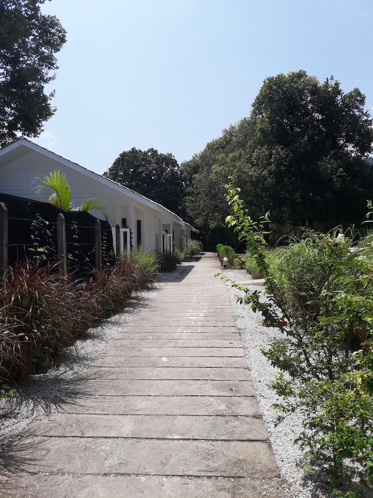 La Pari-Pari by null