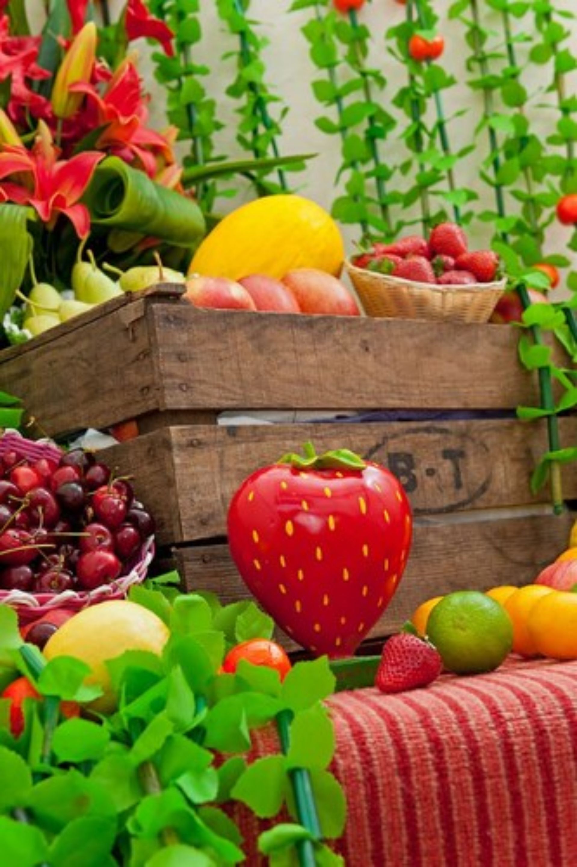 Foto - Strawberry Fields