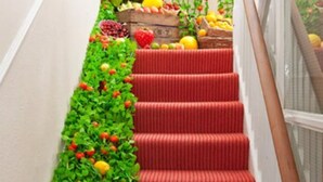 Una escalera con peldaños alfombrados de rojo y follaje verde a lo largo de la pared.