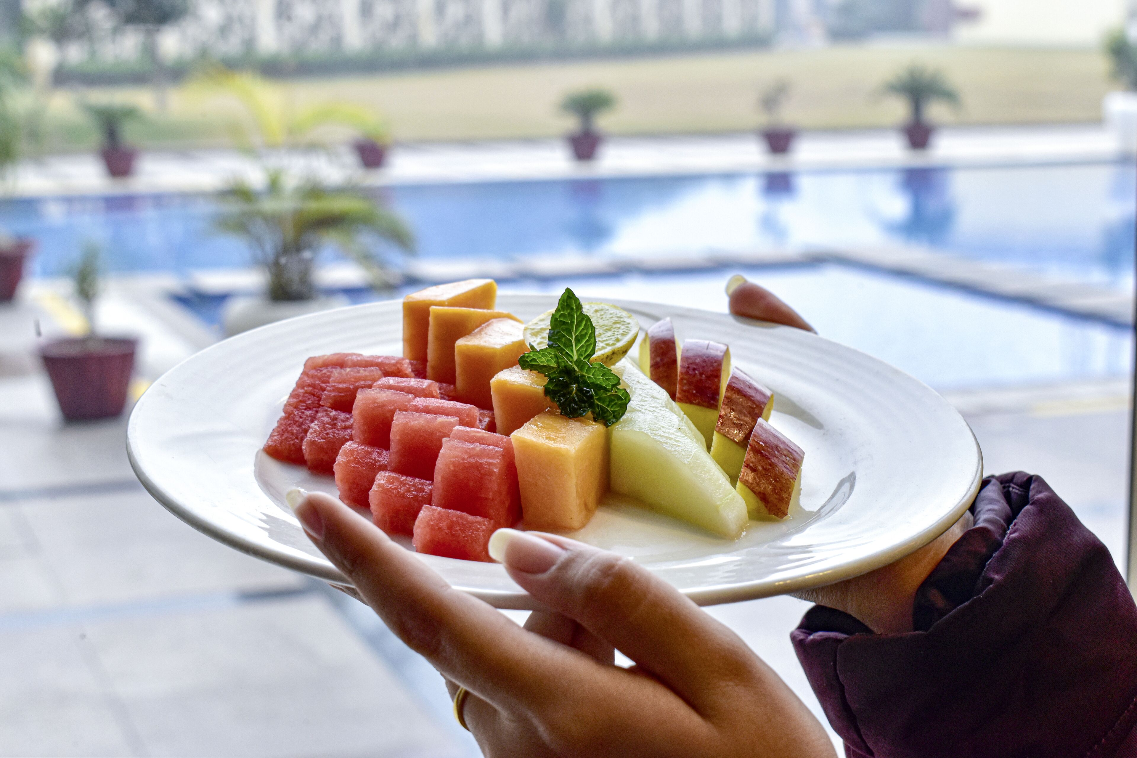 Un piatto di frutta mista tenuto da mani, con una piscina e piante in vaso sullo sfondo.