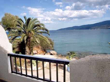 Vista desde la habitación